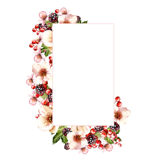 ilustrações, clipart, desenhos animados e ícones de watercolor festive invitation frame made of flowers and fruit berries with green leaves. - healthy eating summer berry branch