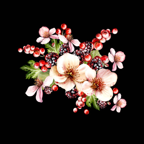 ilustrações, clipart, desenhos animados e ícones de watercolor festive bouquet of beautiful flowers and fruity blackberries with green leaves. - healthy eating summer berry branch