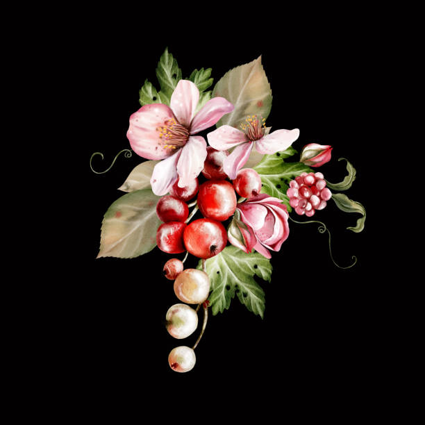 ilustrações, clipart, desenhos animados e ícones de watercolor festive bouquet of beautiful flowers and fruity blackberries with green leaves. - healthy eating summer berry branch