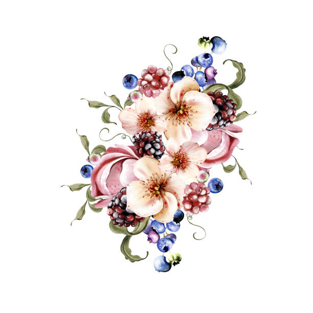 ilustrações, clipart, desenhos animados e ícones de watercolor bright bouquet of beautiful flowers and fruity blackberries with green leaves. - healthy eating summer berry branch