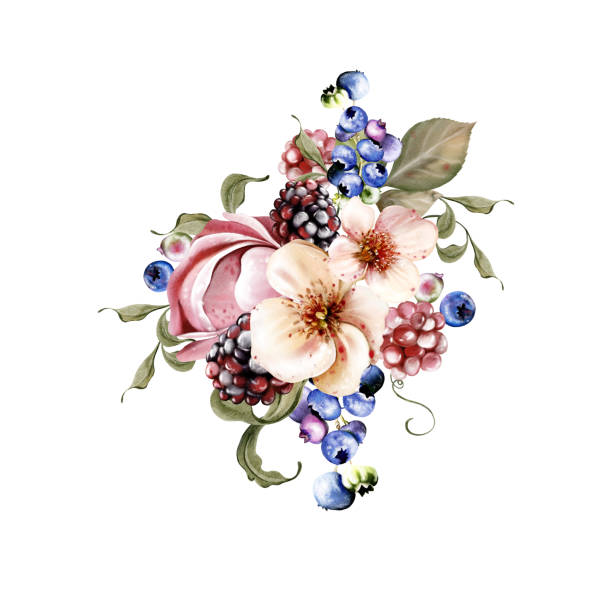 ilustrações, clipart, desenhos animados e ícones de watercolor bright bouquet of beautiful flowers and fruity blackberries with green leaves. - healthy eating summer berry branch