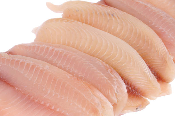 istock fresh raw tilapia fish fillet isolated on white background 1980955764