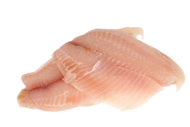 istock fresh raw tilapia fish fillet isolated on white background 1980956292