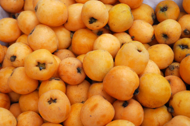 istock fresh loquat as food background 1980957891