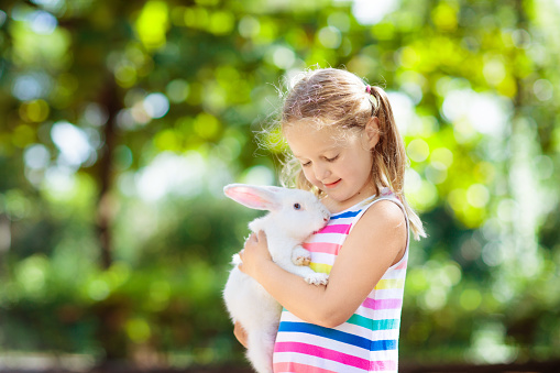 Child playing with white rabbit. Little girl feeding and petting white bunny. Easter celebration. Egg hunt with kid and pet animal. Children and animals. Kids take care of pets. Spring Easter garden.