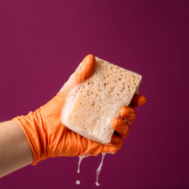 Close-up of a hand in protective glove holding a wet cleaning sponge with soap sud. Purple background. Space for copy.