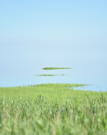 The wadden sea in Denmark with cordgrass and two small islands. Light sea fog hiding the horizon creating an endless feel