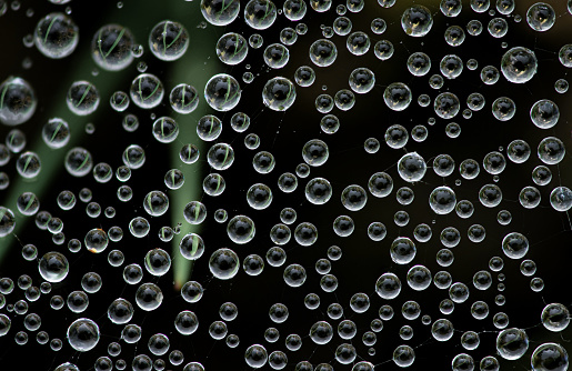 Close-up of tiny water droplets on a spider web set against a black background