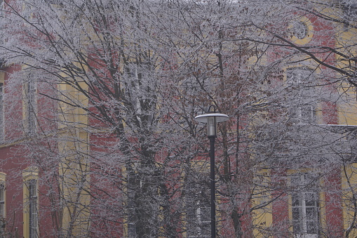 A street lamp under the snow. The house is hidden behind the snow. The old house is hidden behind the trees.