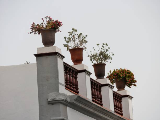 Building facade details with a flower planter and decorative elements under a bright sky, featuring a palm tree frond