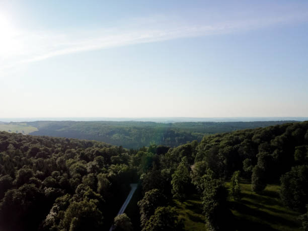 istock Aerial top view forest tree, Rainforest ecosystem and healthy environment 1981115193