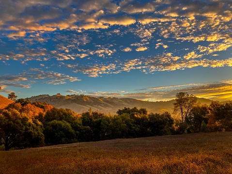 Sunrise and fog, Magnolia Ranch Regional Park, Coloma, CA.