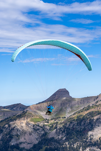 Jackson Hole Wyoming - September 8 2023: A Paraglider with a Tourist Strapped in a Harness Gliding Down Jackson Hole Resort in the Grand Teton Mountains