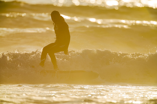 The Pacific Rim National Park on Vancouver Island on April  27, 2023:  Male engaged in surfing at Pacific Rim National Park on Vancouver Island at sunset, British Columbia