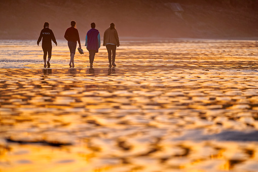 The Pacific Rim National Park on Vancouver Island on April  28, 2023:   Young women friends walking along the shoreline of Pacific Rim National Park at sunset on Vancouver Island, British Columbia