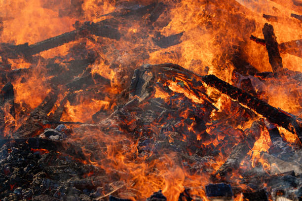 istock Flames and hot coals 1981398775