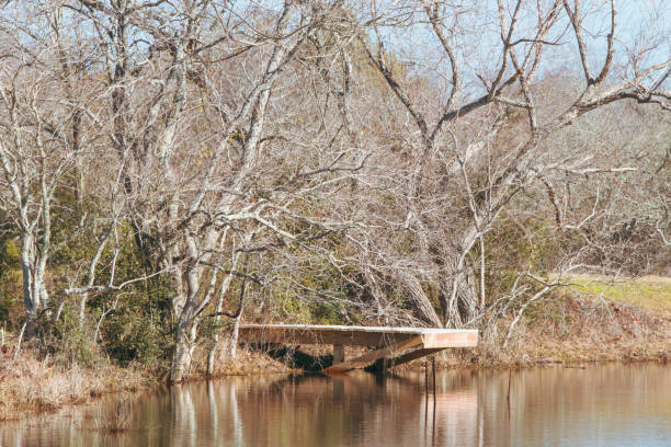 istock Small fishing dock 1981399796