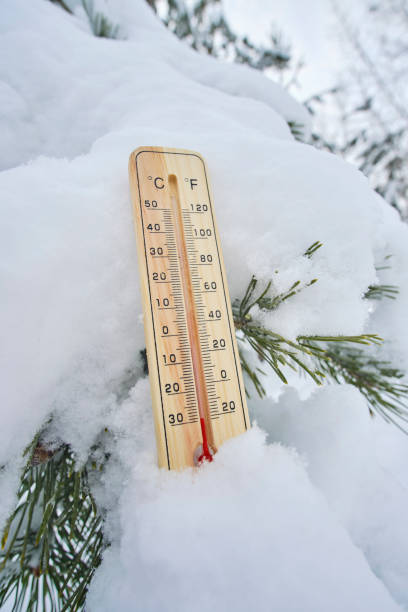 istock Thirty degrees frost on thermometer lying in forest. 1981442022