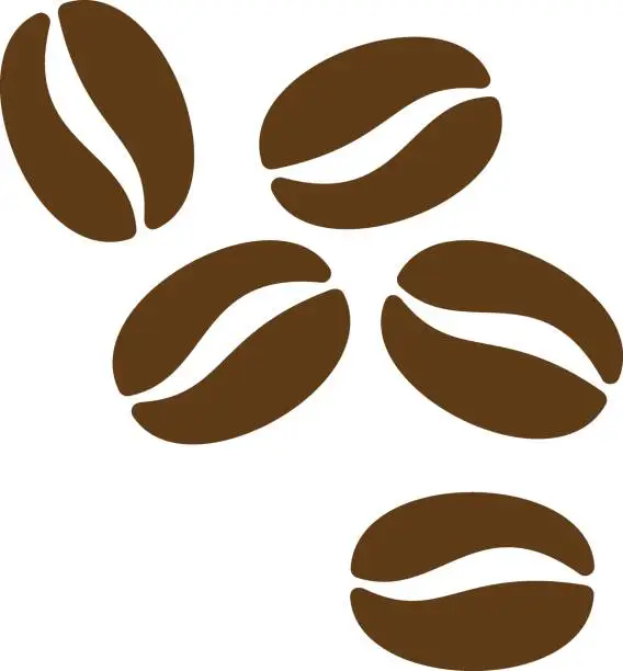 Vector illustration of A simple illustration of coffee beans separated from the background.