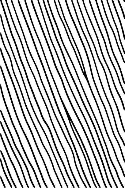 Vector illustration of Hand drawn line black color vector background