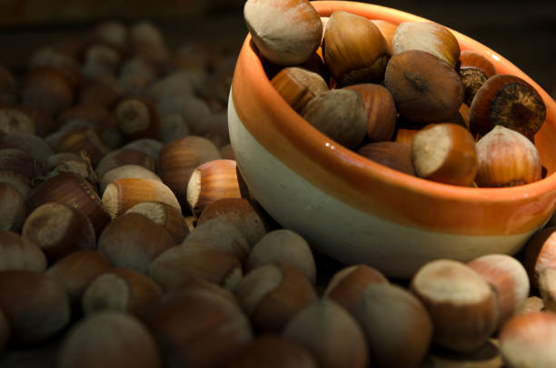 hazelnuts on wood, grouped natural. nuts great source of calories