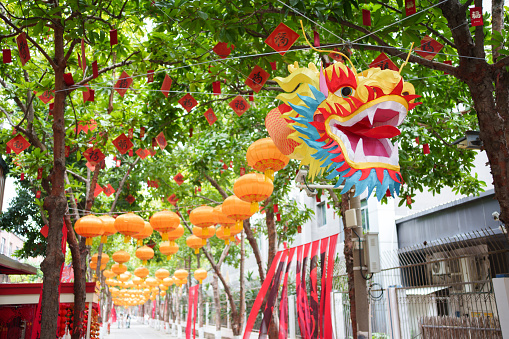 Chinese new year decorative dragon shaped lanterns
