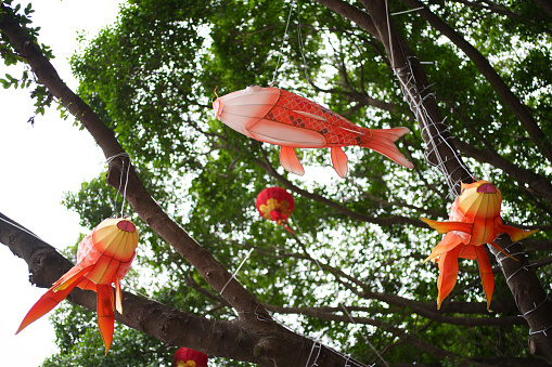 Chinese New Year decorative fish-shaped lanterns