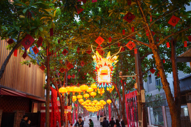 Chinese new year decorative dragon shaped lanterns