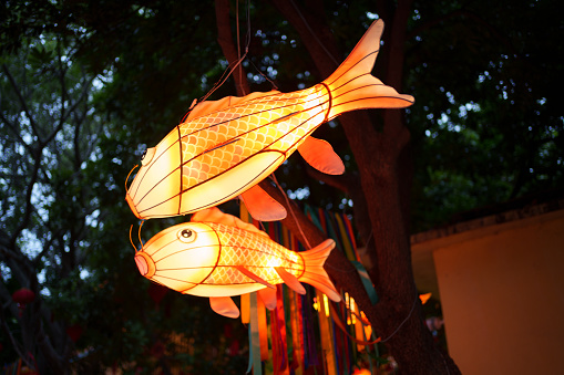 Chinese New Year decorative fish-shaped lanterns