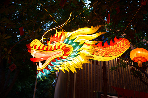 Chinese new year decorative dragon shaped lanterns