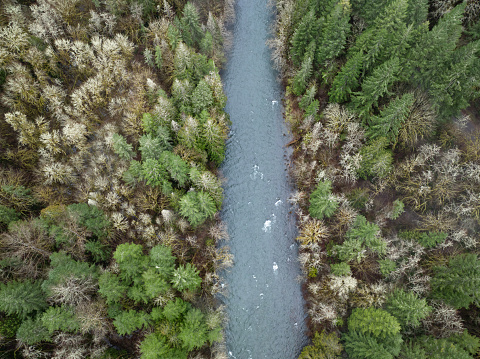 Not far south of Portland, Oregon, the Molalla River flows through Molalla River Valley, home to extensive forests, beautiful hiking, biking, and equestrian trails.