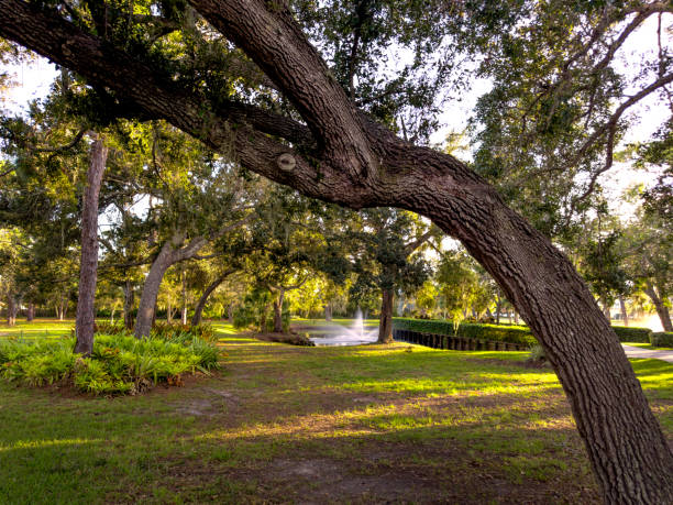 Public park in Florida