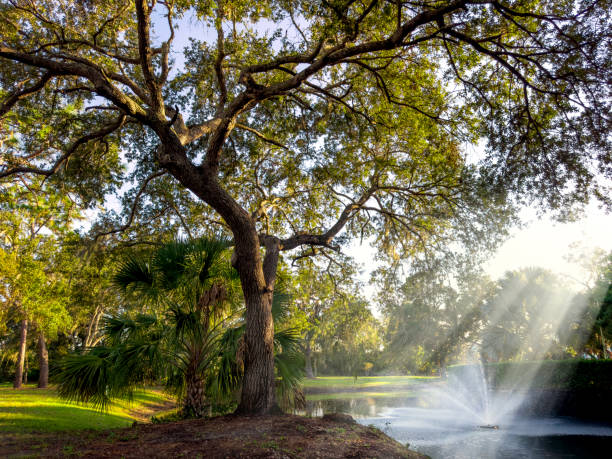 Public park in Florida
