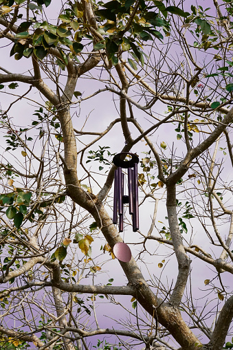 Metal wind chimes hung up hing on a tree