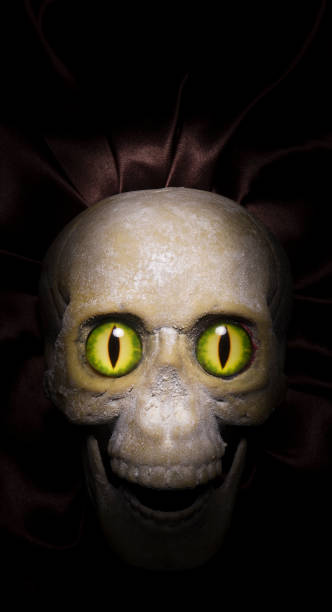 homemade scary skulls with menacing eyes and pirate treasure coins background - bronze rubber plastic metal zdjęcia i obrazy z banku zdjęć