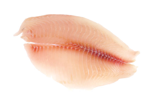 istock fresh raw tilapia fish fillet isolated on white background 1981720479