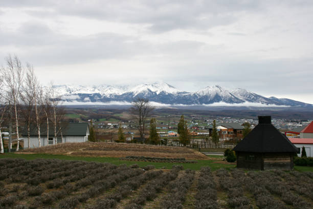 istock Tokachidake mountain range in spring seen from Furano 1981727698