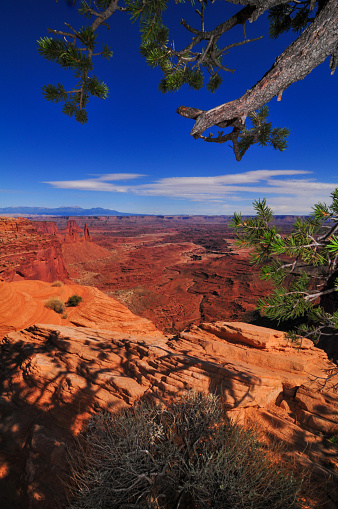 Sandstone towers and mesas with the La Sal Mountains in the distance, as seen from Mesa Arch, Canyonlands National Park, Moab, Utah, Southwest USA.