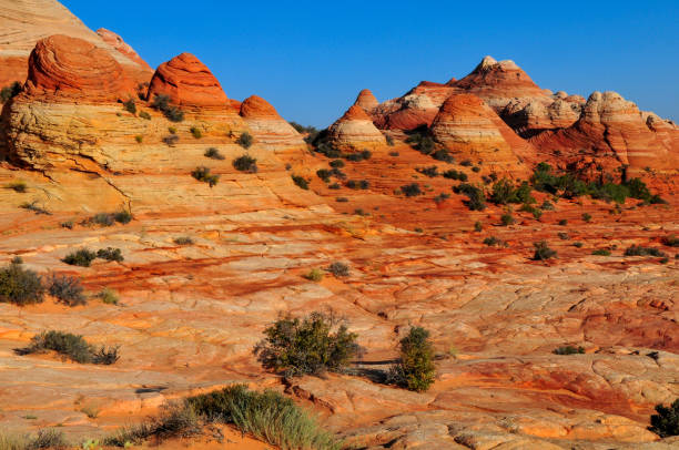 istock Sandstone formations close to The Wave 1981796824