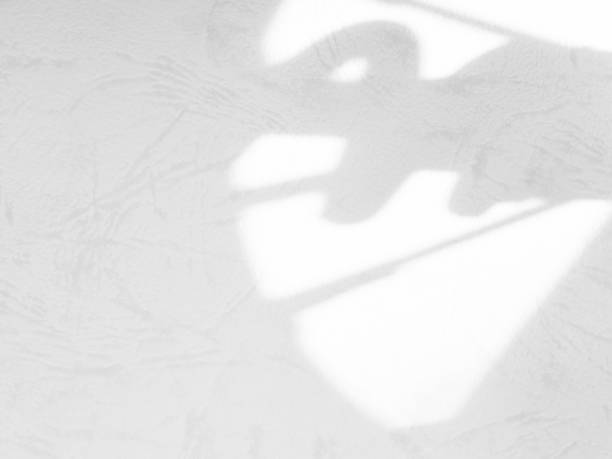 istock Shadow Background wall Light white Abstract Backdrop Sunlight Sun Mockup Overlay Minimal Summer Gray Photography Black Modern Art Architecture Surface Bright Shape Leaves Branch Nature Smoot Desight. 1981866848