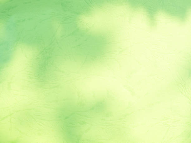 istock Green Background Abstract Backdrop Overlay Leaf Spring Plant Shadow Organic Eco Light Fresh Forest Environment blur Grunge Wall Floor Elegant Gradient Pastel Texture Template Mockup Scene Nature. 1981867371