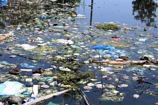 Plastic water bottles pollution in the river. Plastic trash in water. Environmental pollution concept.