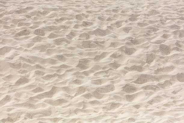 istock White sand in the desert as an abstract background. Texture 1981908441