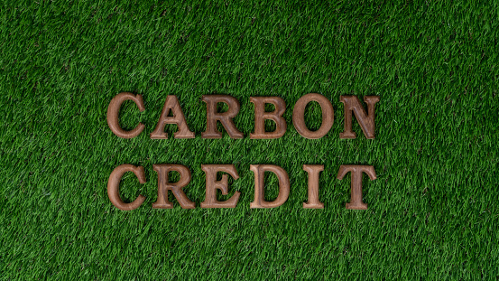Arranged wooden alphabet text in CO2 on biophilic green grass design background as eco symbol for encouraging message for carbon credit reduction campaign and environmental awareness. Gyre