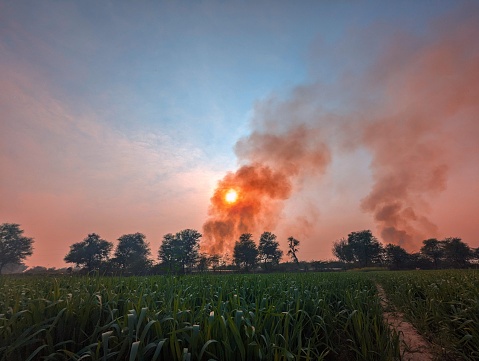 This captivating image captures the mesmerizing sight of smoke gracefully ascending from a tranquil field, creating an atmosphere of mystery and intrigue