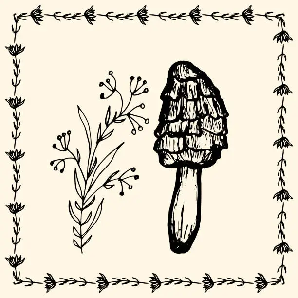 Vector illustration of Mushroom and wild grass, Vintage frame, mushroom in floral border. Design card of forest nature. Handmade delicate postcard. Game education card.