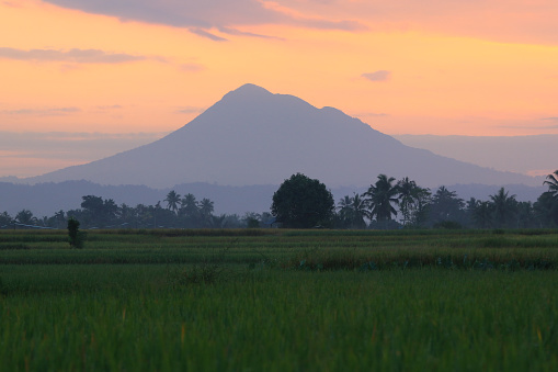 Epic views of rice fields and mountains at sunrise, Aceh-indonesia