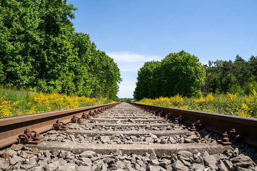 Rural railroad tracks in the countryside  with trees and a blue sunny sky