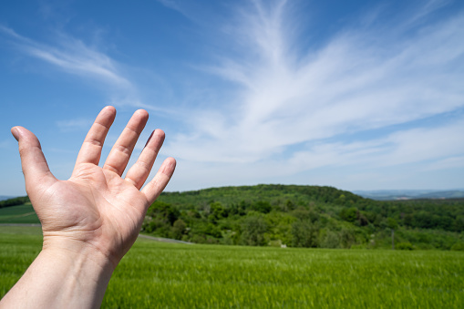 Male hand in beautiful countryside with trees, grain field and blue sky in spring