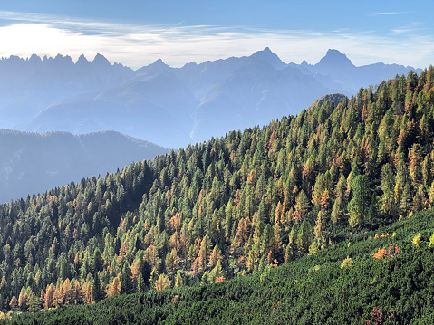 Mountains with larch forest. Marmarole mountains. Spalti di Toro in the background. Province of Belluno, Italy.